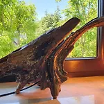 Homestay szállás Abrazja - Wypoczynek Dla Doroslych