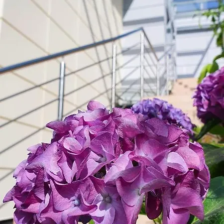 Abrazja Jastrzębia Góra