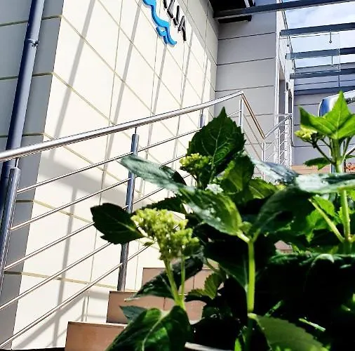 Abrazja - Wypoczynek Dla Doroslych