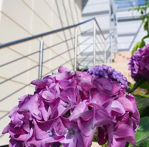 Abrazja - Wypoczynek Dla Doroslych Jastrzębia Góra